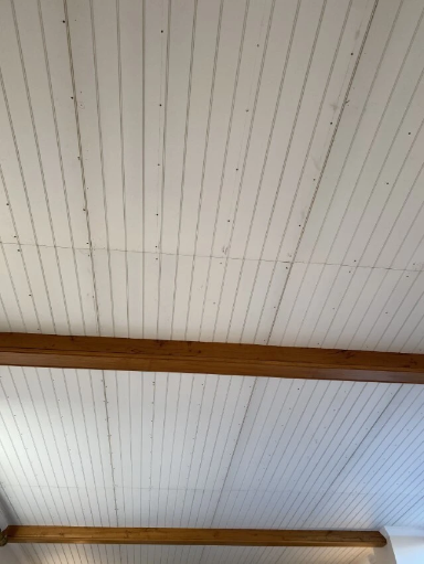Genal Carpentry 14 Medium