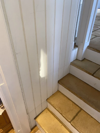 Genal Carpentry 16 Medium