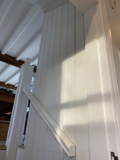 Genal Carpentry 17 Medium